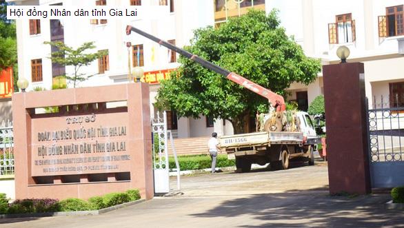 Hội đồng Nhân dân tỉnh Gia Lai