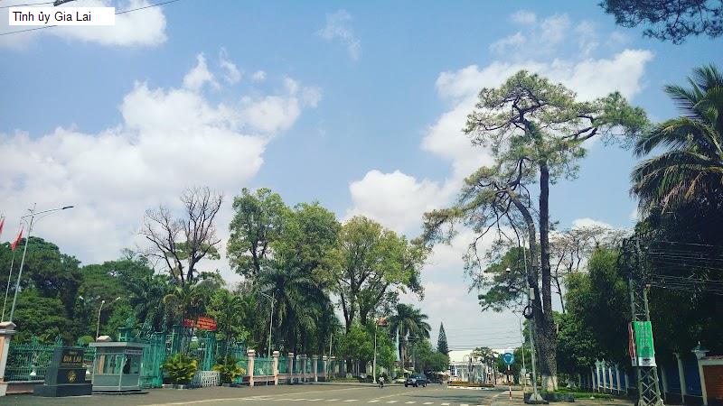 Tỉnh ủy Gia Lai