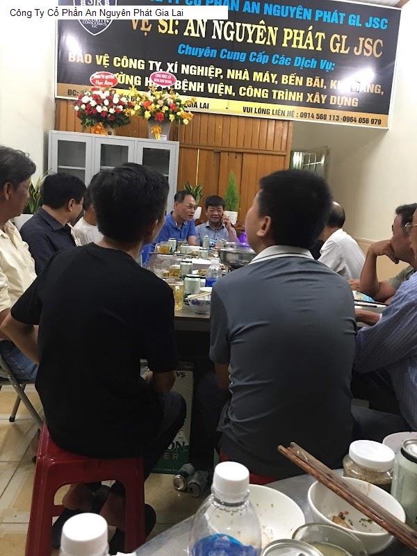 Công Ty Cổ Phần An Nguyên Phát Gia Lai