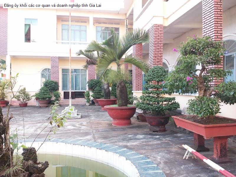 Đảng ủy khối các cơ quan và doanh nghiệp tỉnh Gia Lai