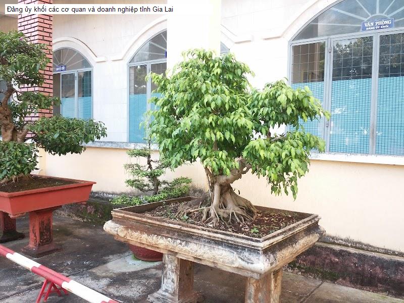 Đảng ủy khối các cơ quan và doanh nghiệp tỉnh Gia Lai